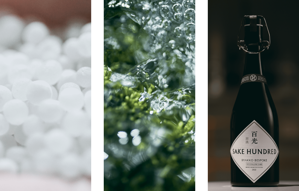 SAKE HUNDRED Official Website: Fill Your Glass With Life SAKE HUNDRED Official Website: Fill Your Glass With Life